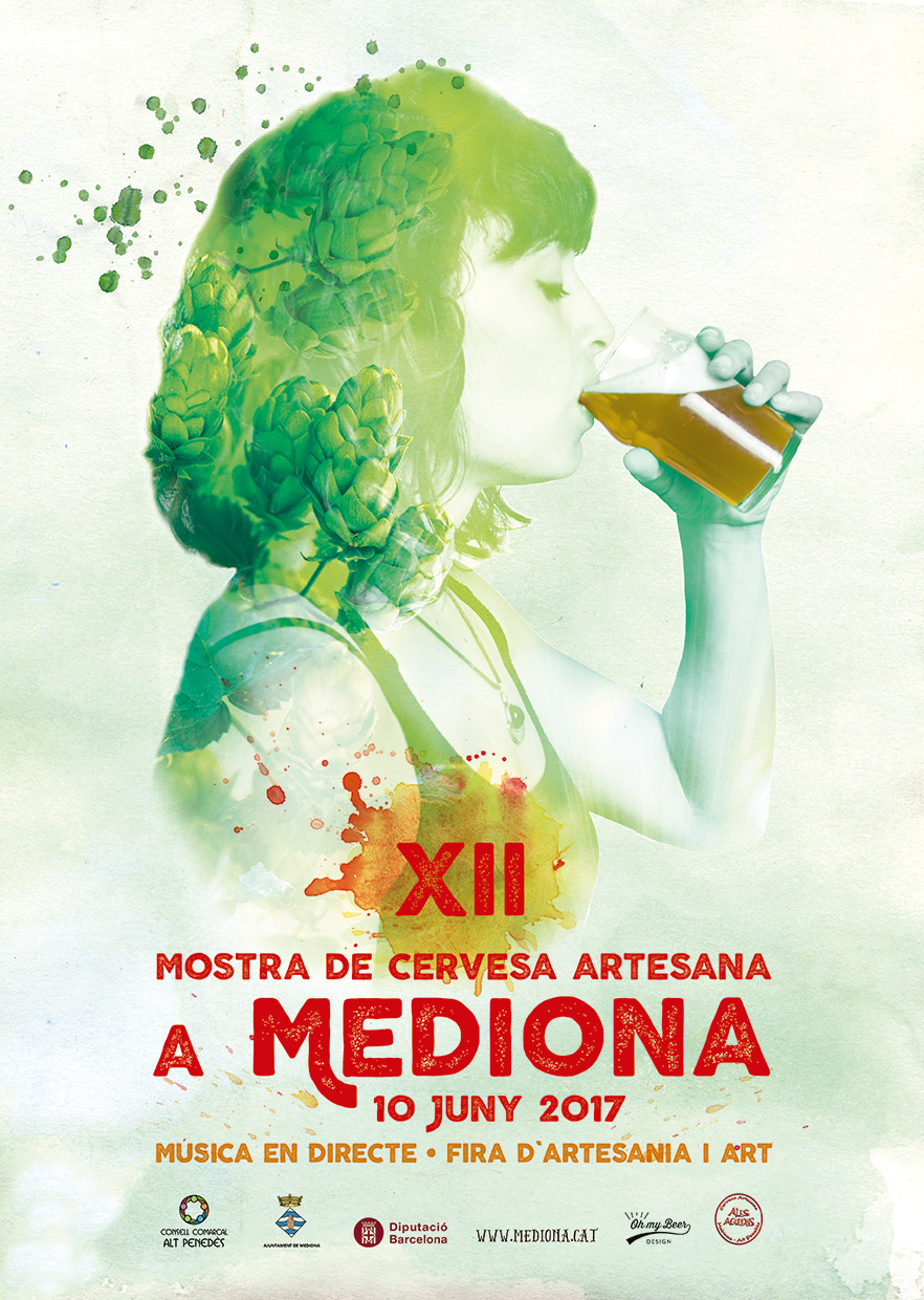poster-mediona-2017